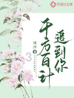 蜘蛛森林逃生