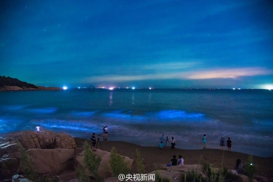 狂野的飙客无敌版