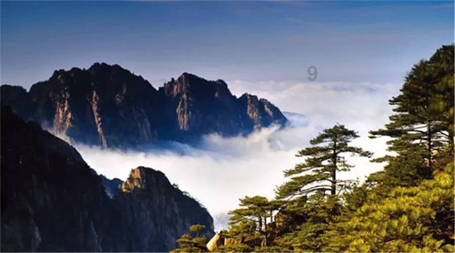 迷失在荒野