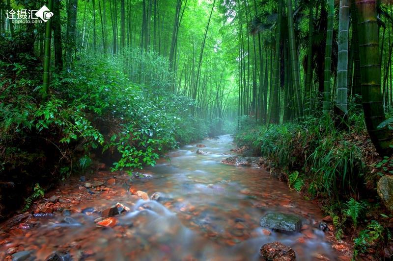 逃离冰淇淋岛屿