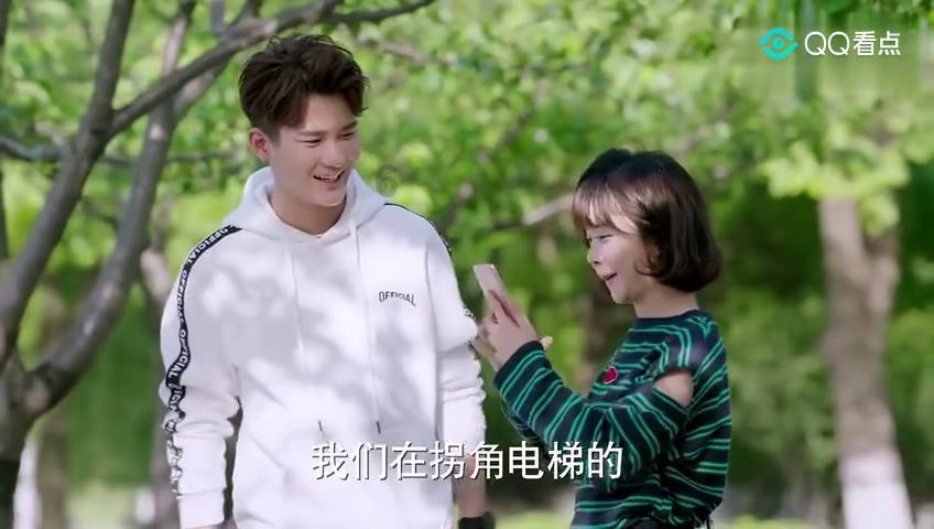 动物帮帮忙保卫家园